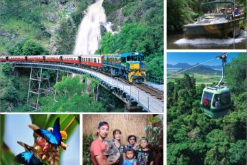 キュランダ観光デラックスコーススペシャル(スカイレール・キュランダ列車・アーミーダック・ワイルドライフパーク・コアラ写真・バタフライサンクチュアリ)【ケアンズツアーのことならジェイさんツアー】