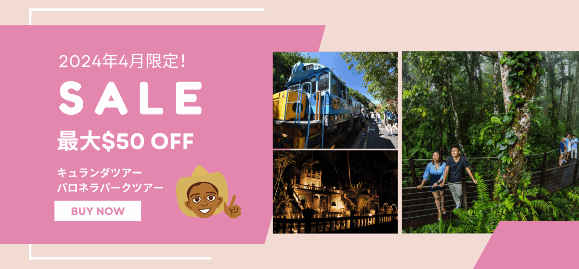 【2024年4月限定！】キュランダ＆パロネラパーク　ツアーパッケージ